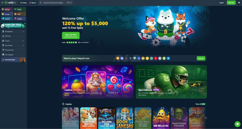 P&aacute;gina web de Wild.io