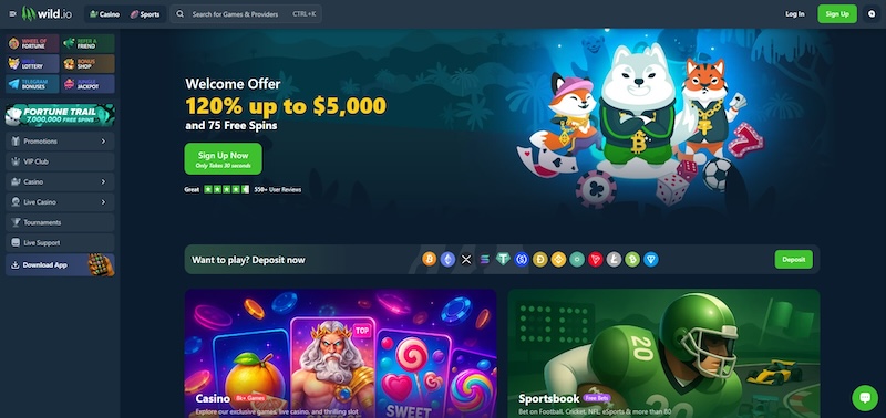 P&aacute;gina web de Wild.io