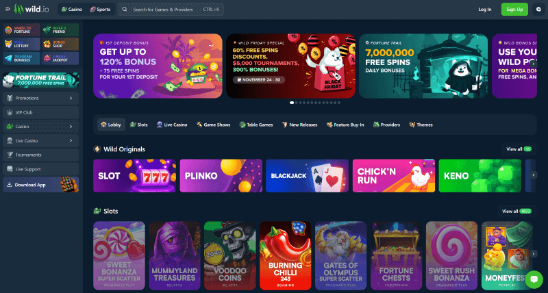 P&aacute;gina Web de Wild.io