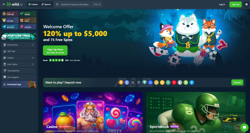 Wild.io p&aacute;gina web