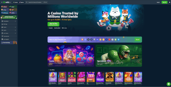 Página web de Wild Casino